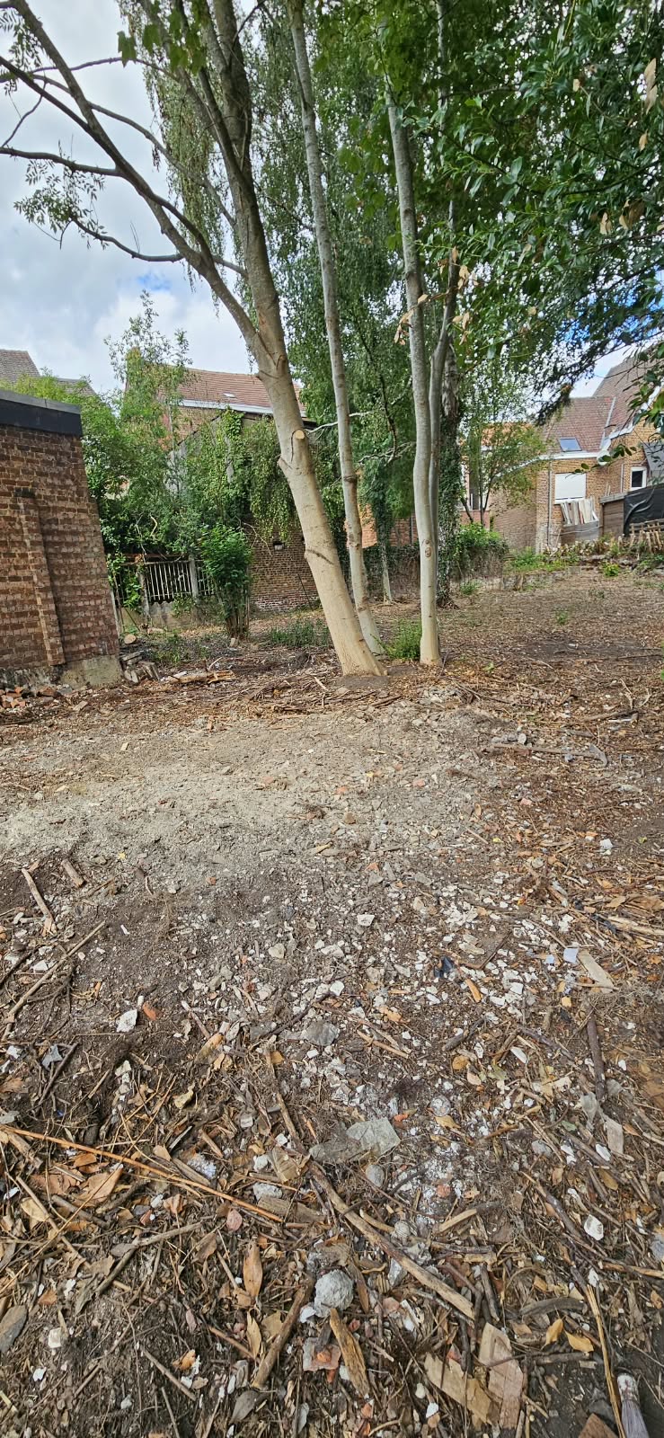Après le débarras : jardin dégagé après l’évacuation des encombrants